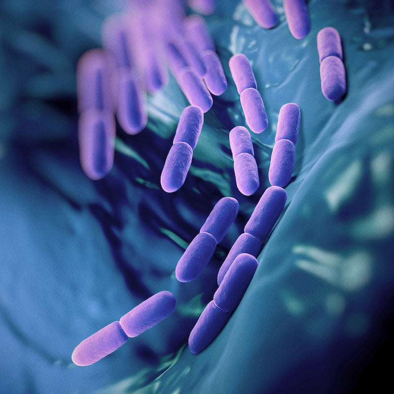 Gut Health and Immunity: Why Aureva Labs Supplements Work From the Inside Out